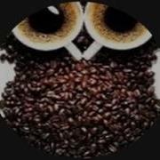 Javascript Alert 1 Test