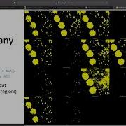 Segmentation Colocalization