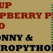 Raspberry Pi Pico Tutorial Download Thonny Run MicroPython