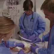 VCU Center For Human Simulation And Patient Safety