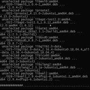 Тестирование веб приложения внутри Docker контейнера с NGINX PHP 5 6