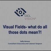OCL Vision Webinar Visual Fields What Do All The Dots Mean