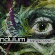 Pendulum Through The Loop