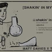Matt Davies Tim Lewis Shakin In My Shoes Audio