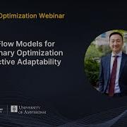 Ian Yihang Zhu Network Flow Models For Robust Binary Optimization With Selective Adaptability