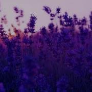 Chillstep Selection 26