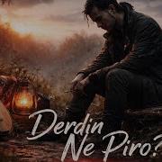 Servet Kocakaya Derdin Ne Piro 1970 Ler Anadolu Folk Rock Cover