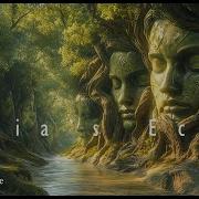 Gaia S Echo A Guiding Whisper From The Healing Forest For Your Soul Inner Balance Meditation