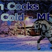 So Cold MEP Star Stable Online