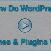 How Do WordPress Themes Plugins Work
