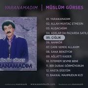 Çığlık Müslüm Gürses Official Audio çığlık Müslümgürses Esen Müzik
