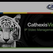 Using CathexisVision Create A New Camera Panel Layout