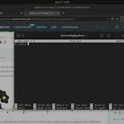 Hackerrank Apple And Orange Python In Problem Solving