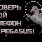 Как обнаружить вирус PEGASUS на своем телефоне Проверь свой IPhone Android