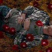 Nirvana Heart Shaped Box Director S Cut