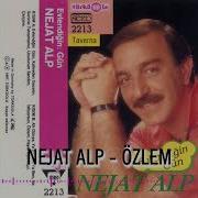 Nejat Alp Özlem Türküola