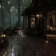 Best Rain In The Forest At Night Sleep Deeply With Rain Sounds