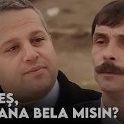 Vali Nin Hayali Bardak Dolu Damlatana Yazık Olacak Köprü