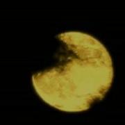 Yellow Moon Neville Brothers