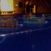Reactable Digital Jungle