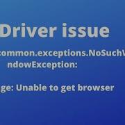 Python With Selenium IE Driver Issue Fixed 2020