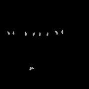 GOT7 Breath Animation