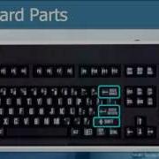 Master The Keyboard Mouse Like A Pro Computer Fundamentals Keyboard Mouse Mastery