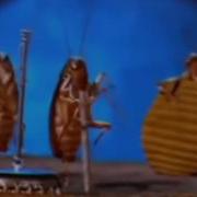 Funny Cockroach Star Wars Band Full Length
