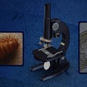 Microscopes For Beginners Functions Facts Part I Science For Kids Educational Videos By Mocomi
