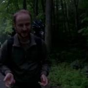 Seeing The Synchronous Fireflies In The Smokies