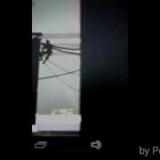 Vector Glitch