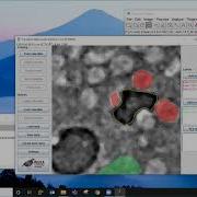 Rigaku XCT Mini Tutorial 5 Machine Learning Segmentation By Weka