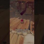 DAY 5 Of Playing EGGING ON Until I Crack The Egg ROCKET EGG EDITION