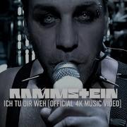 Rammstein Ich Tu Dir Weh Official 4K Video