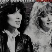 Heart Barracuda Best Quality Lyrics