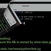 Execute Python File Using PHP 2022
