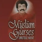 Sevenler Anlar