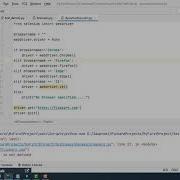 Selenium Python Script To Launch Browsers Dynamically Selenium With Python