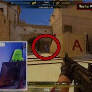 BEST Pro Wallbangs In CS GO