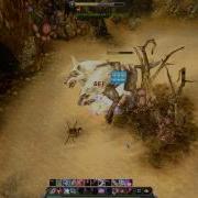 Blader Solo Distichous Mongrel