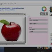70 LabVIEW Link Baidu Cloud API Universal Object And Scene Recognition Advanced Edition