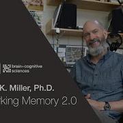 Seminar Earl Miller Working Memory 2 0