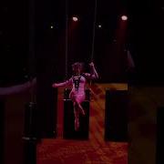 Le Grand Cirque Zero Gravity