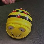 BeeBot Intro