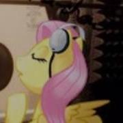 Aoshi FlutteRR Ft Fluttershy