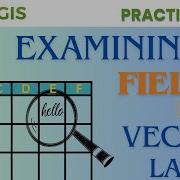 PyQGIS Examining Fields Of Vector Layer