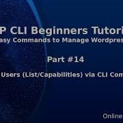 Уроки по WordPress WP CLI для начинающих 14 Управление пользователями список возможности ком