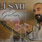 ALİ ŞAH GÜLÜM 2024 SALLAMA HALAY YANBAĞLAMA Alişah Sallamahalay
