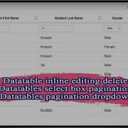 Datatable Inline Editing Delete Datatables Select Box Pagination Datatables Pagination Dropdown