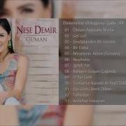 Neşe Demir Bir Daha